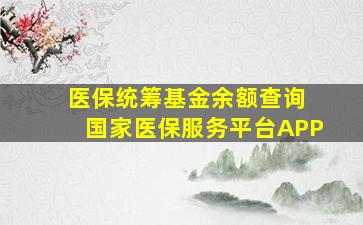 医保统筹基金余额查询 国家医保服务平台APP